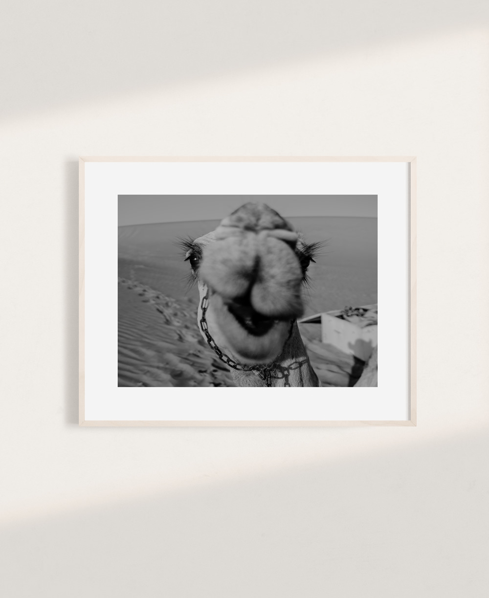 nicischwab-prints-008-camel-blackandwhite